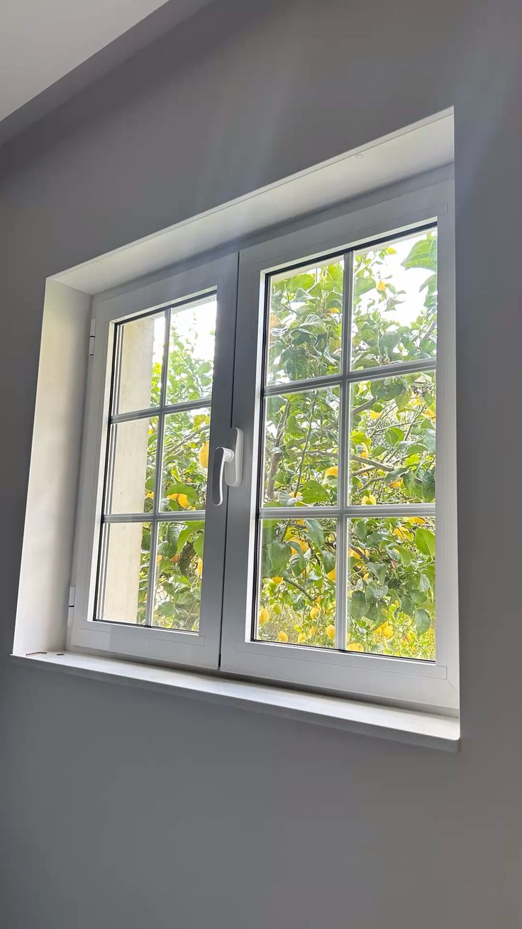 Window Installation and Repair project 1